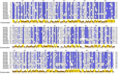 Annexins and cardiovascular diseases: Beyond membrane trafficking and repair